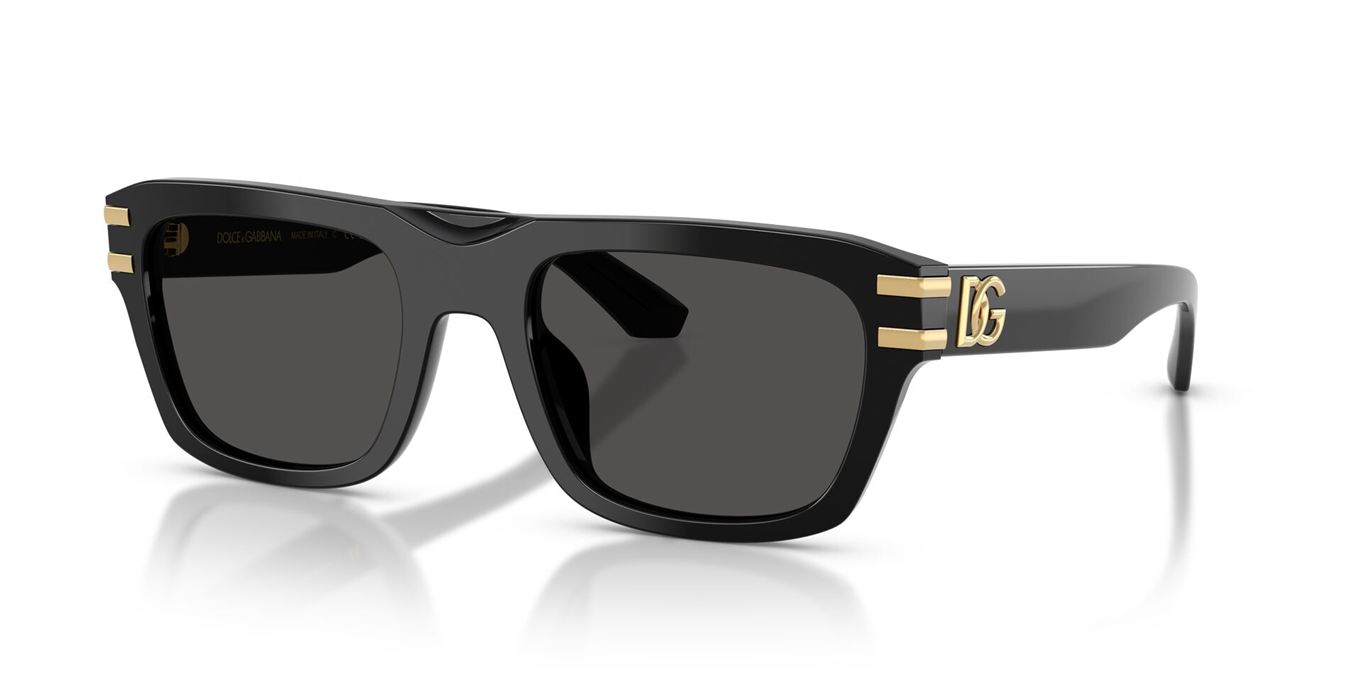 Dolce & Gabbana Dolce & Gabbana DG4496