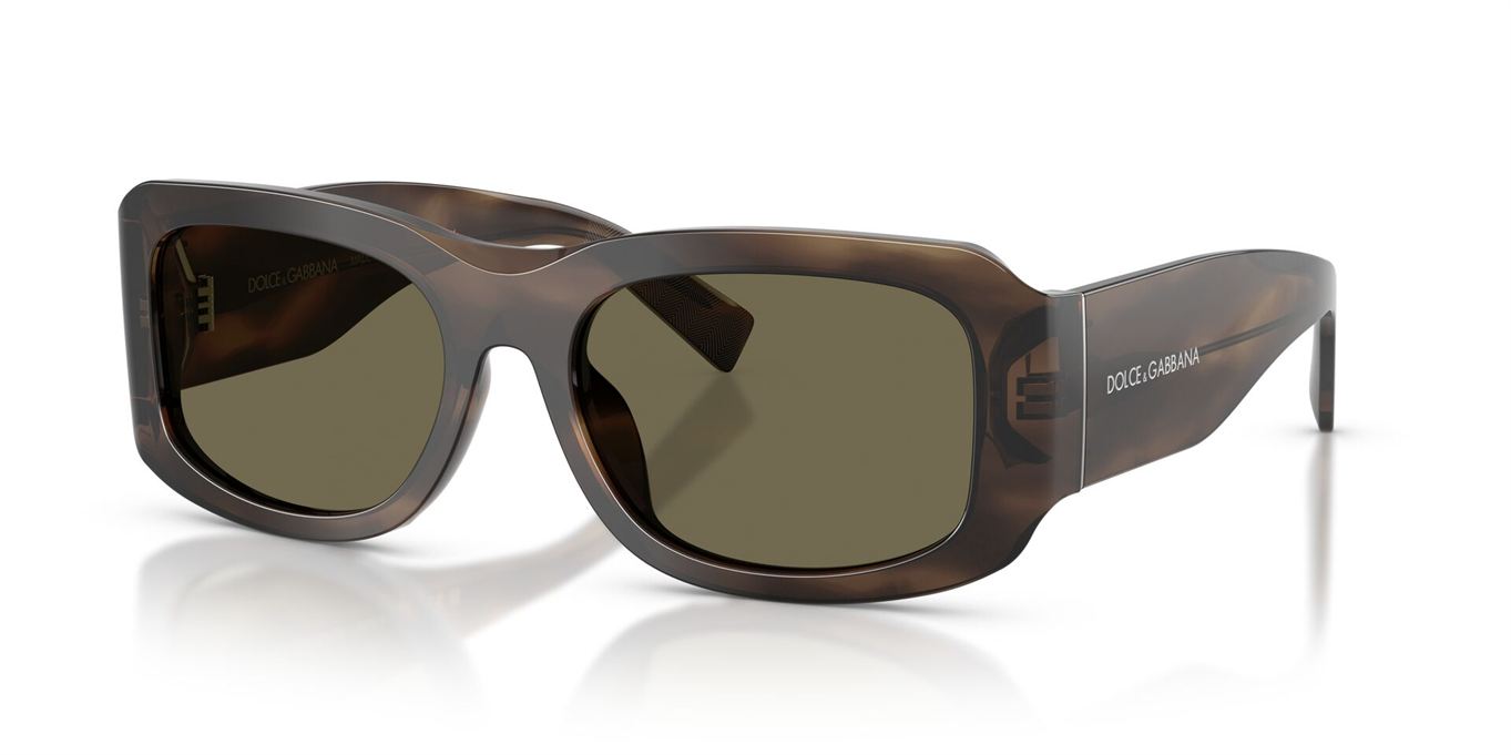 Dolce & Gabbana Dolce & Gabbana DG4503